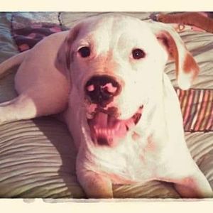 Meet your Posher, Beverly